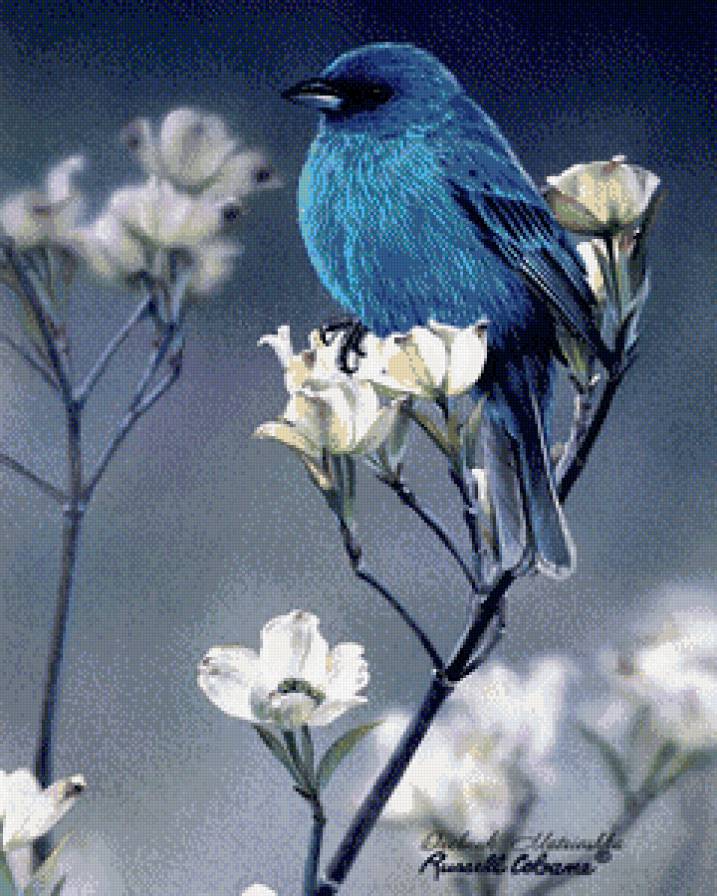 Серия "Птицы" - цветы, птицы - предпросмотр