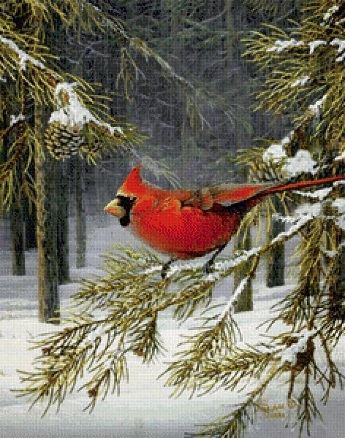 Серия "Птицы" - пейзаж, лес, зима, кардиналы, птицы - предпросмотр