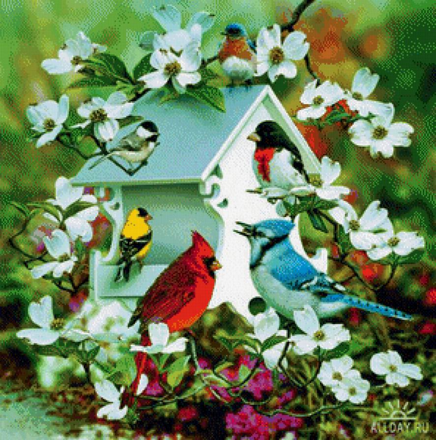 Серия "Птицы" - птицы, кардиналы, синицы, цветы - предпросмотр