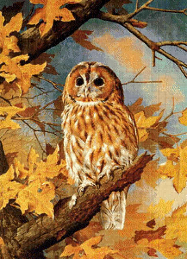 Серия "Птицы" - осень, совы, птицы - предпросмотр