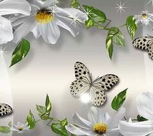 белые бабочки и цветы