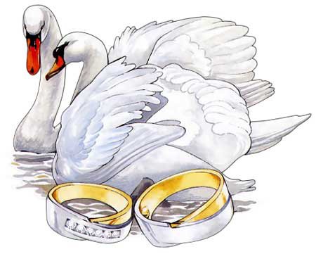 Свадьба,лебеди - оригинал