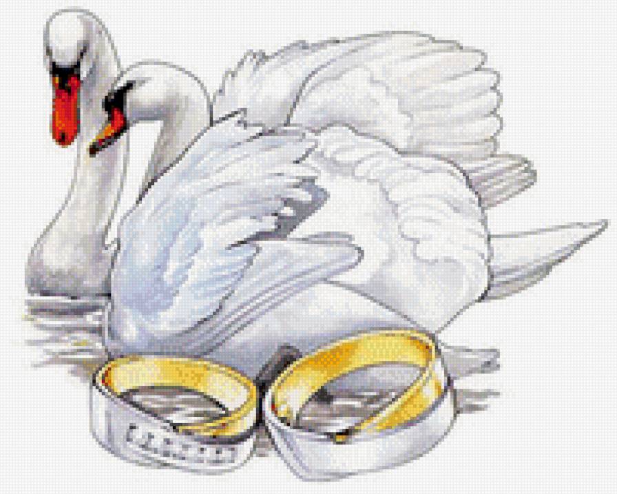 Свадьба,лебеди - предпросмотр