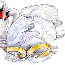 Оригинал схемы вышивки «Свадьба,лебеди» (№482320)