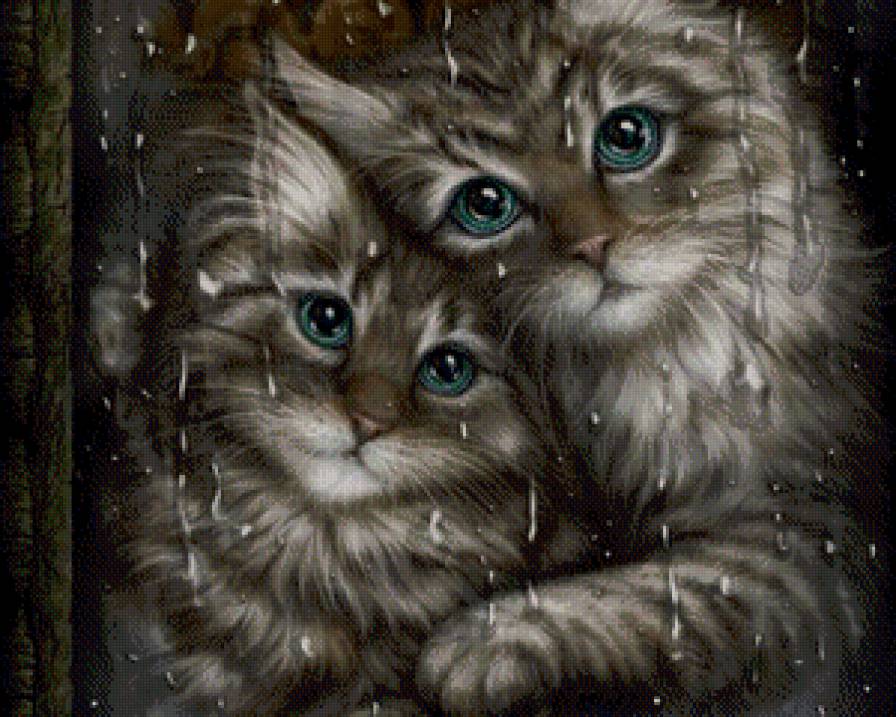 Дождь за окном... - zhivotnie - предпросмотр