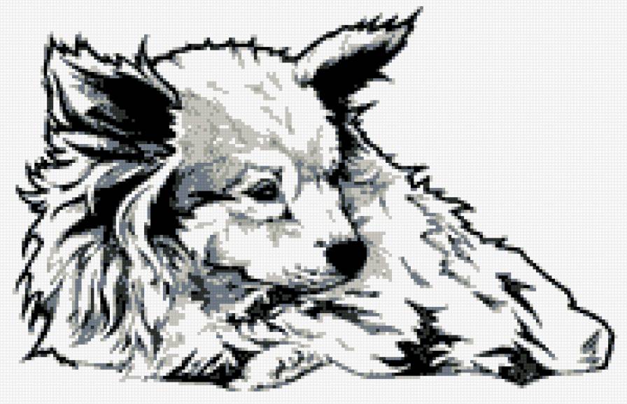 песик - собака, любимец, питомец - предпросмотр