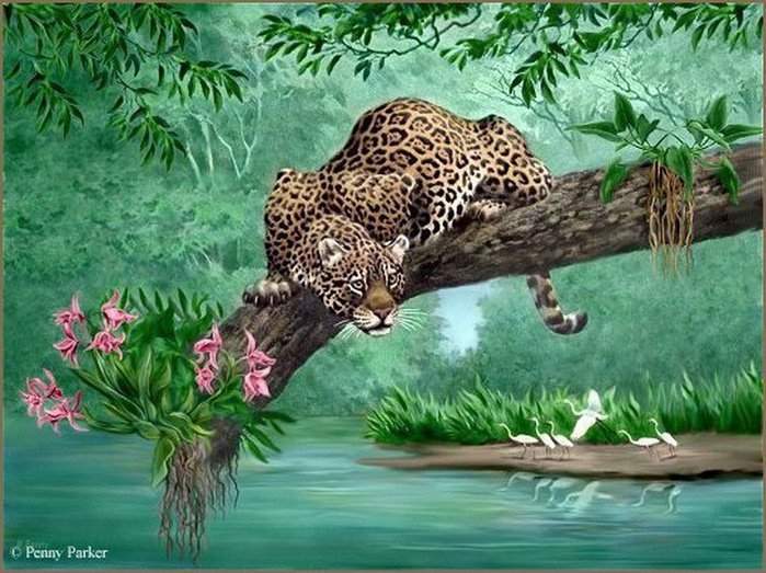 охотник - джунгли, леопард, природа - оригинал