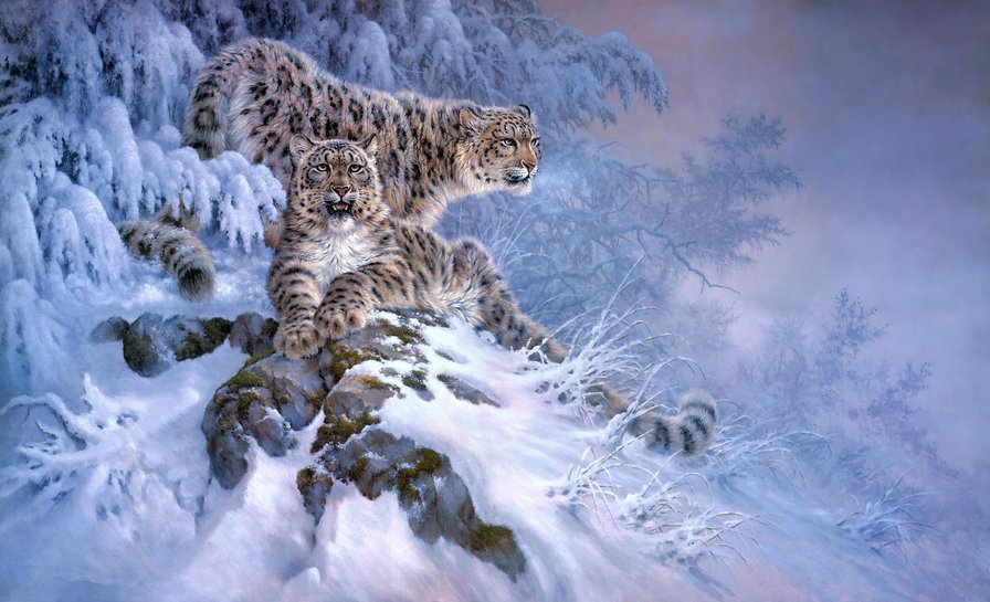 леопарды в зимнем лесу - леопард, лес, зима, снег - оригинал