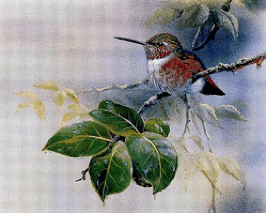 птичка на веточке 2 - природа, птицы, веточка, дерево, пейзаж, серия птицы - предпросмотр