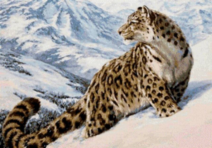 леопард вышивка - горы, леопард, зима, снег - предпросмотр