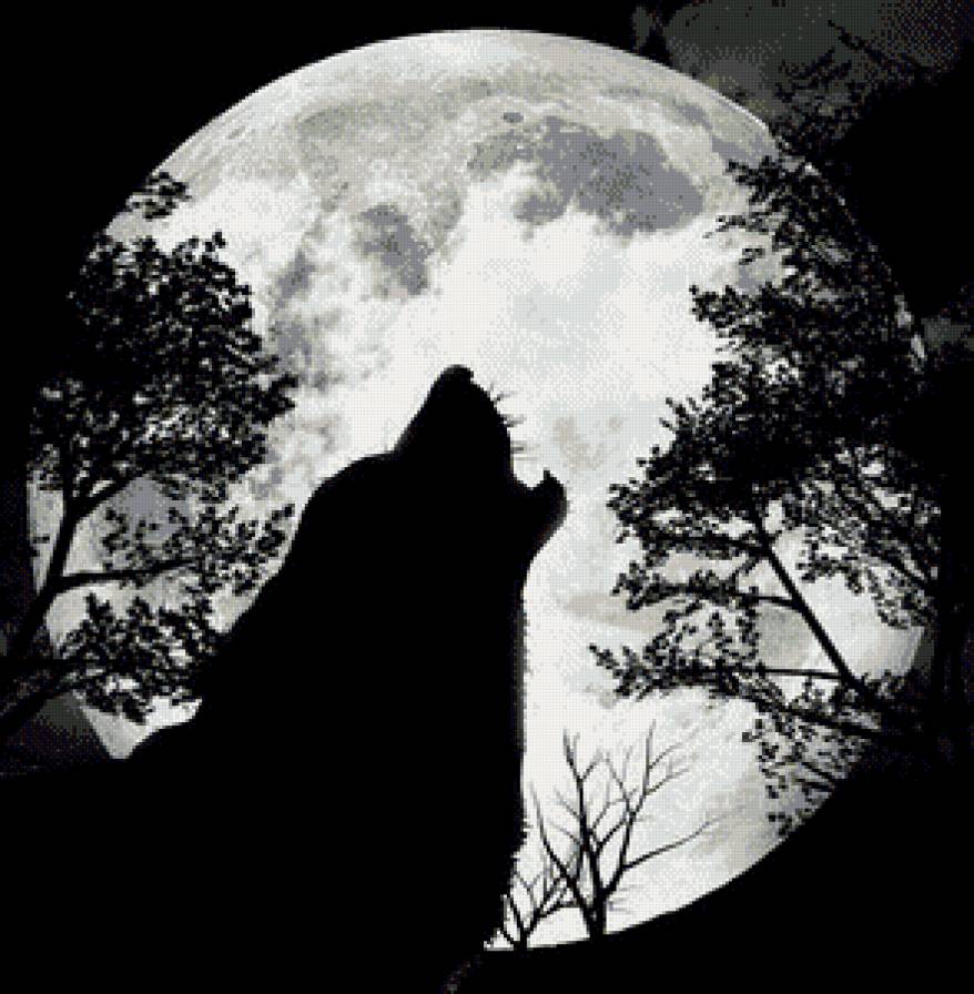 влок полнолуние монохром - волк, луна - предпросмотр