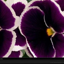 Схема вышивки «фиалки»