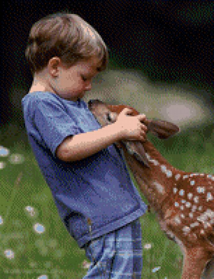 мальчик - предпросмотр