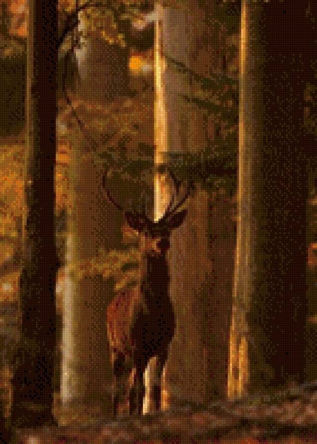 №482737 - предпросмотр