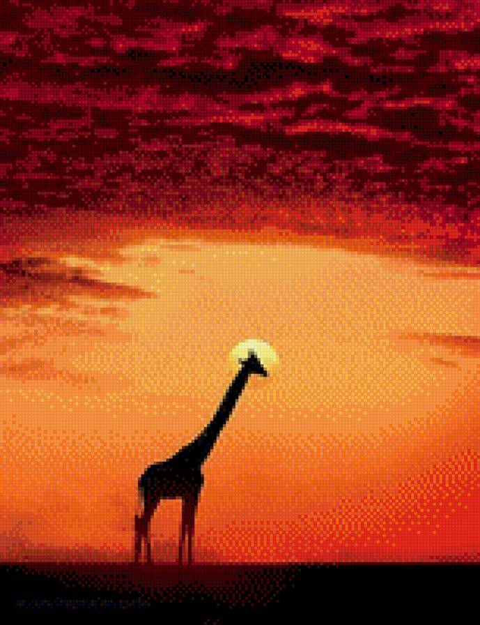 жираф - предпросмотр
