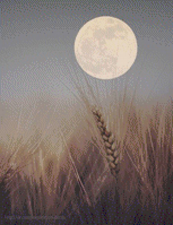 русское поле - предпросмотр