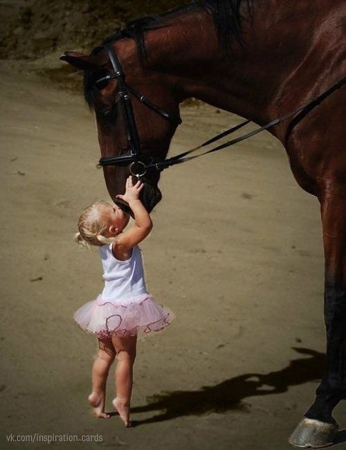 малышка и лошадка - оригинал