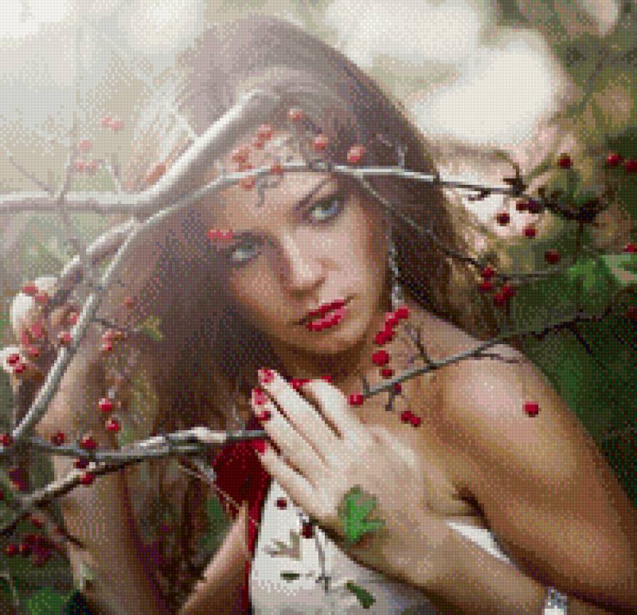 рябина - предпросмотр