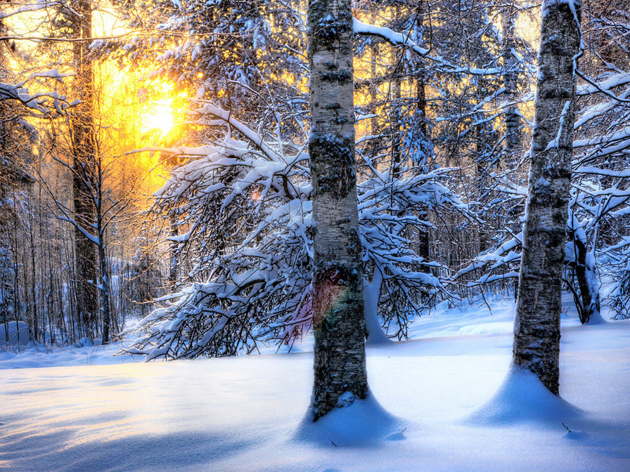 зимний пейзаж - картина, зима, пейзаж - оригинал