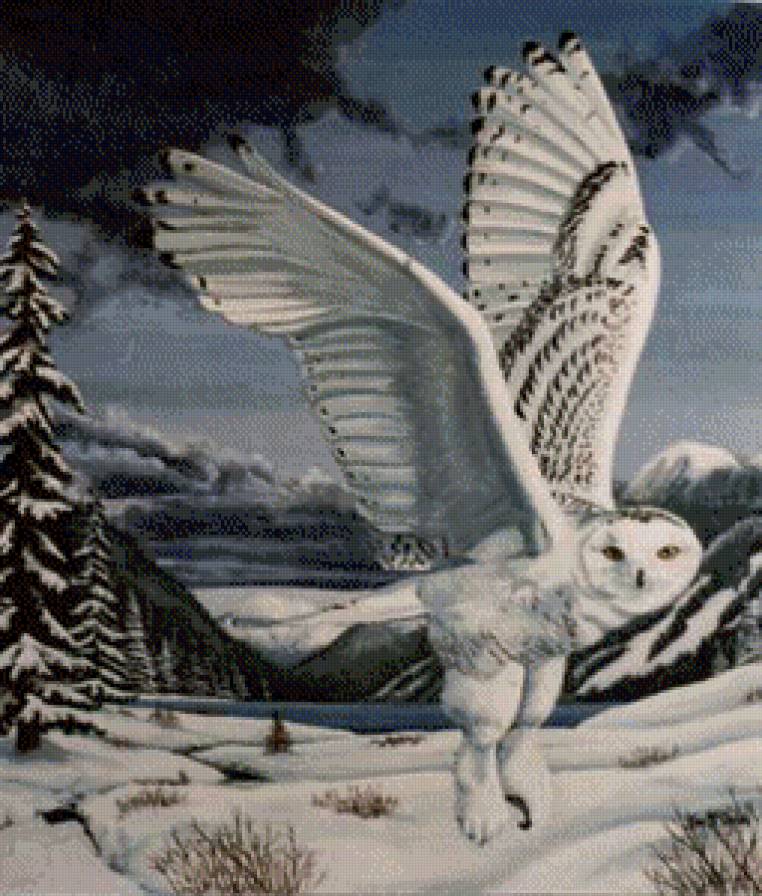 Серия "Птицы" - пейзаж, птицы, зима, совы, филины - предпросмотр