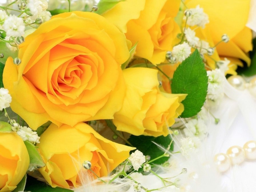 букет желтых роз - букет, розы, цветы - оригинал