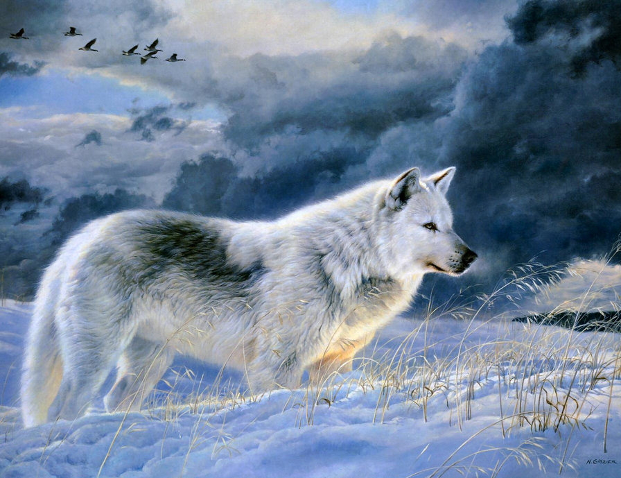 Серия "Волки" - животные, пейзаж, снег, зима, волки - оригинал