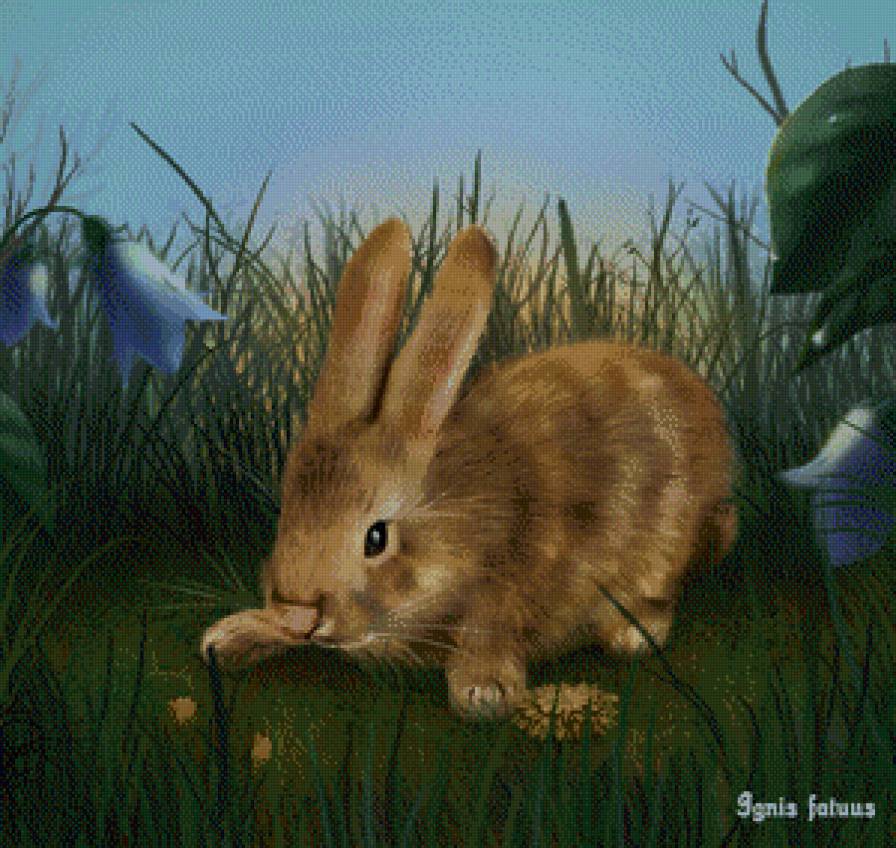 Кролик - животные - предпросмотр