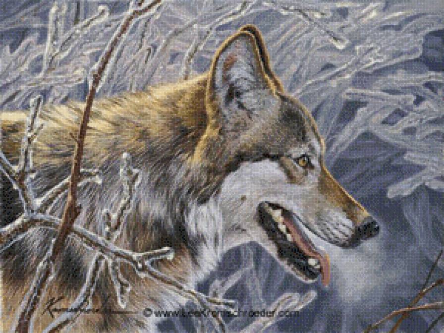Серия "Волки" - пейзаж, животные, волки, снег, зима - предпросмотр