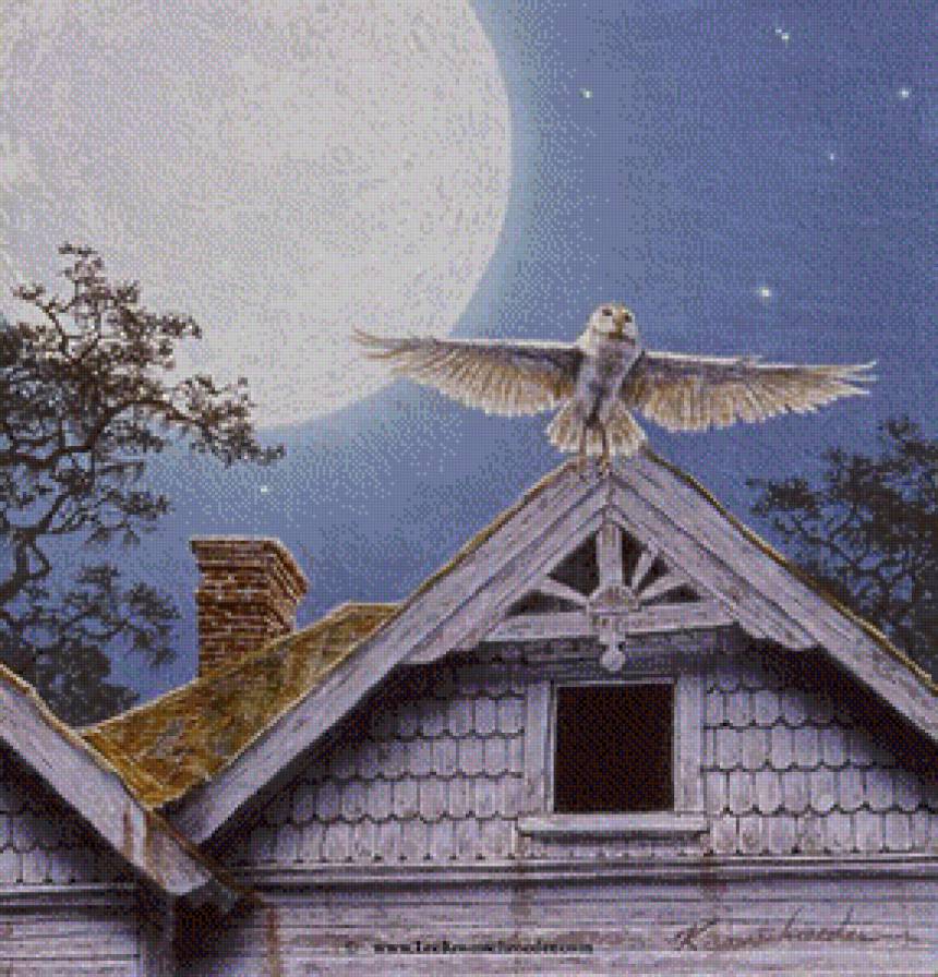 Серия "Птицы" - птицы. совы, домик - предпросмотр