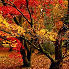 Схема вышивки «осень»