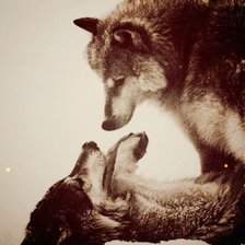 Преданность