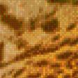 Предпросмотр схемы вышивки «ягуар» (№482956)