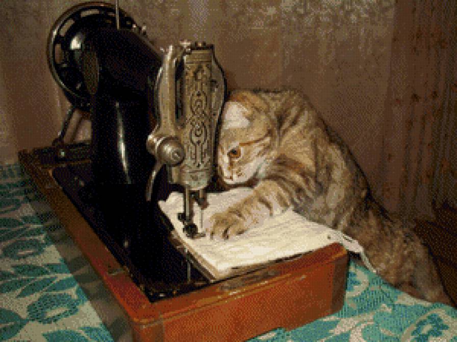 рукодельница - животное, кот, друг, любимец - предпросмотр