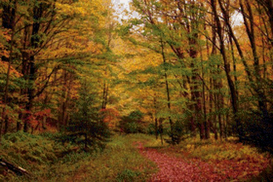 Осенний лес - лес, осень, глушь - предпросмотр