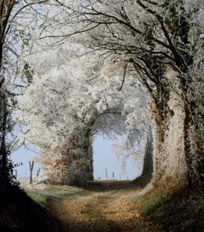 Первые заморозки - снег, дорога, лес, осень - предпросмотр