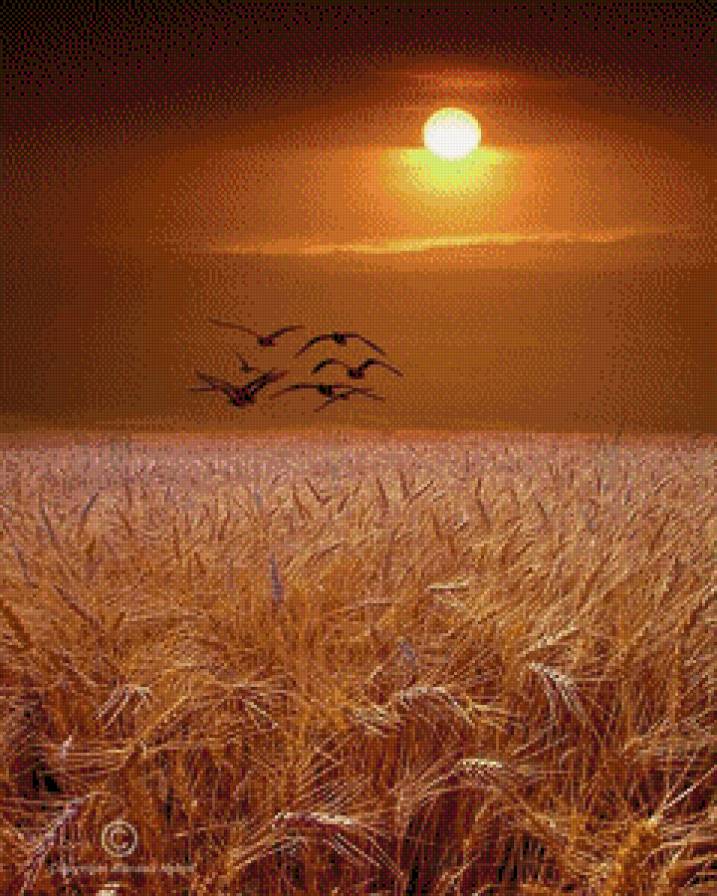 Krajina - krajina - предпросмотр