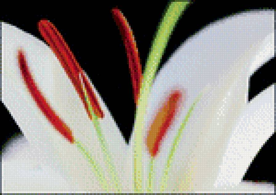 Часть 1 - лилии, триптих, цветы - предпросмотр