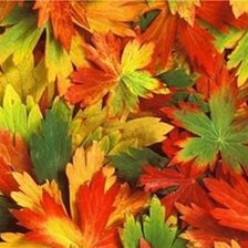 Схема вышивки «ЛИСТВА»