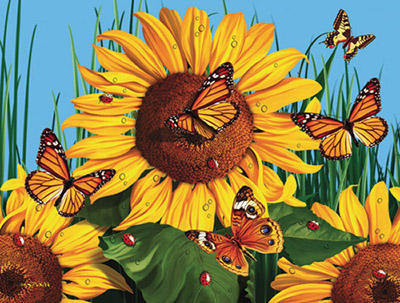 подсолнухи - насекомые, цветы, лето - оригинал