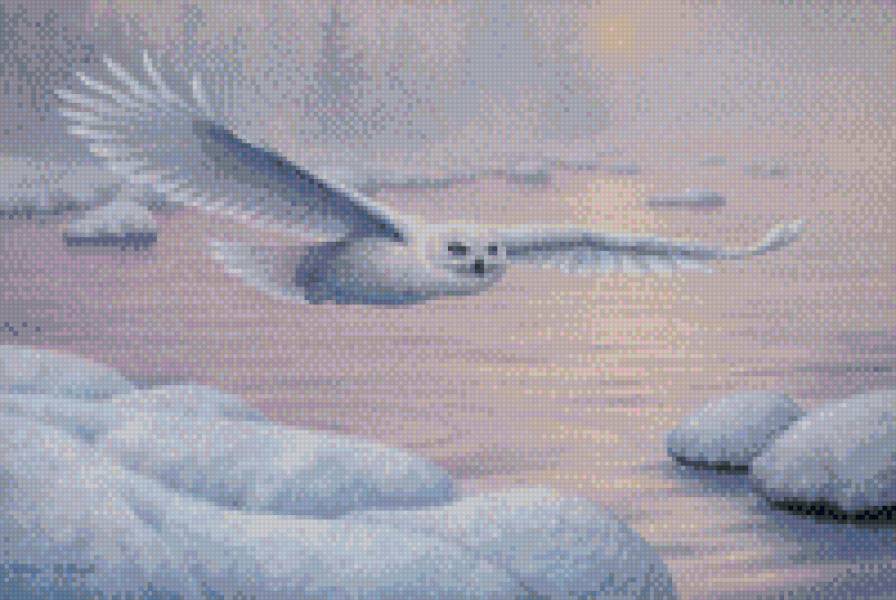 белая сова - предпросмотр