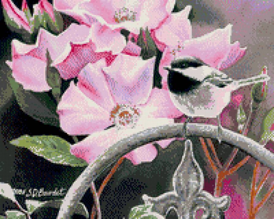 птичка - предпросмотр