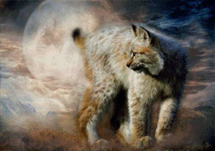 рысь - предпросмотр