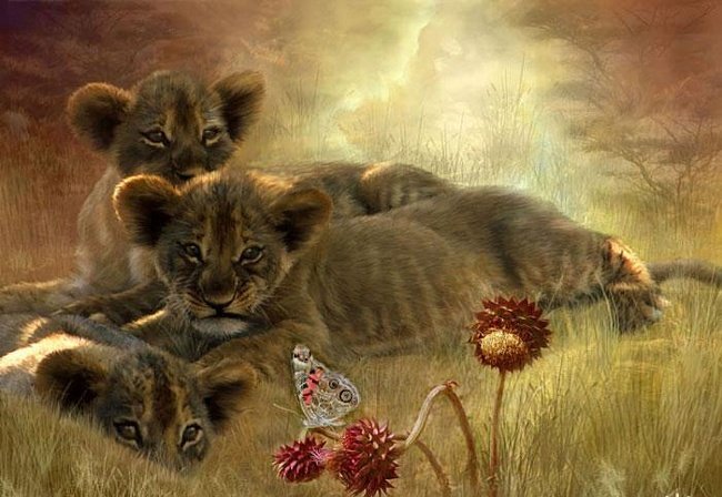 львята - оригинал