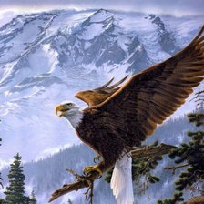 Схема вышивки «птица»