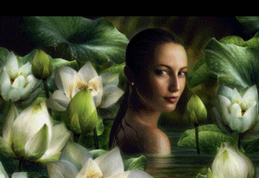 Девушка в лотосах - фэнтези, девушка, красавица - предпросмотр