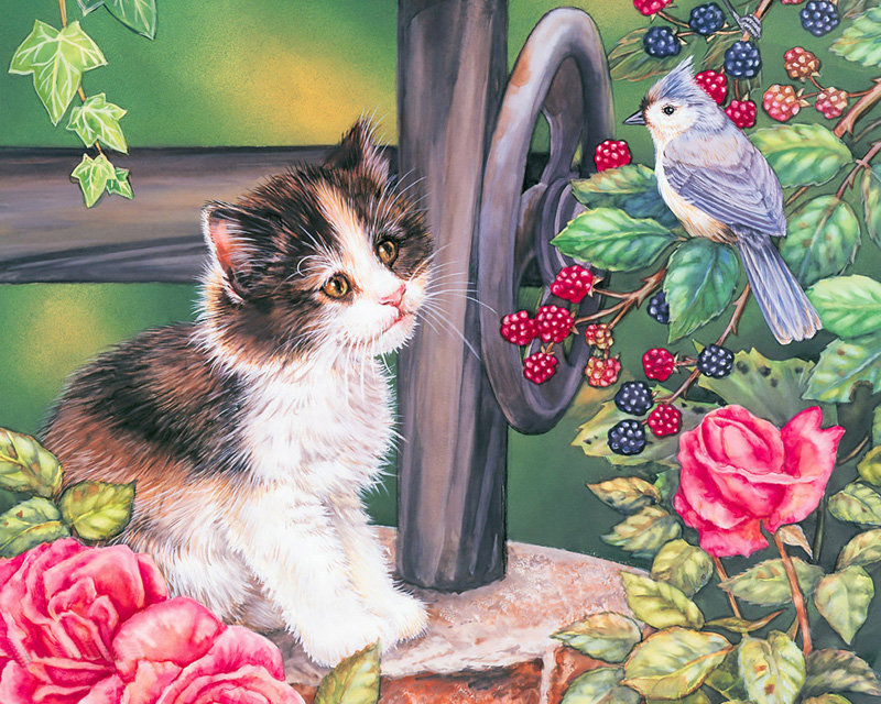 Кот и птичка - коты, птицы, животные - оригинал