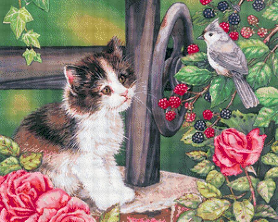 Кот и птичка - птицы, животные, коты - предпросмотр