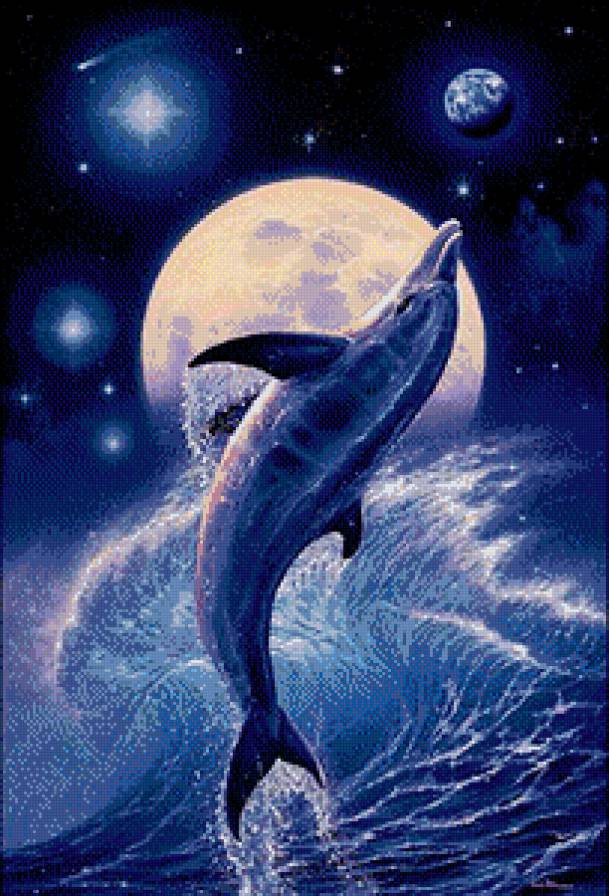 дельфин - предпросмотр