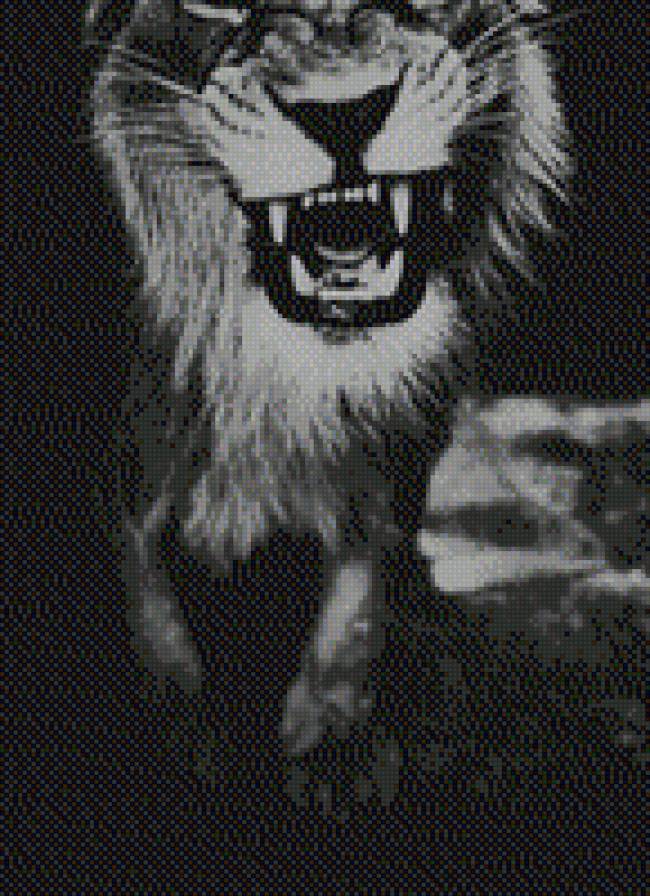 Лев - лев - предпросмотр