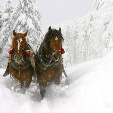 Схема вышивки «Пара»